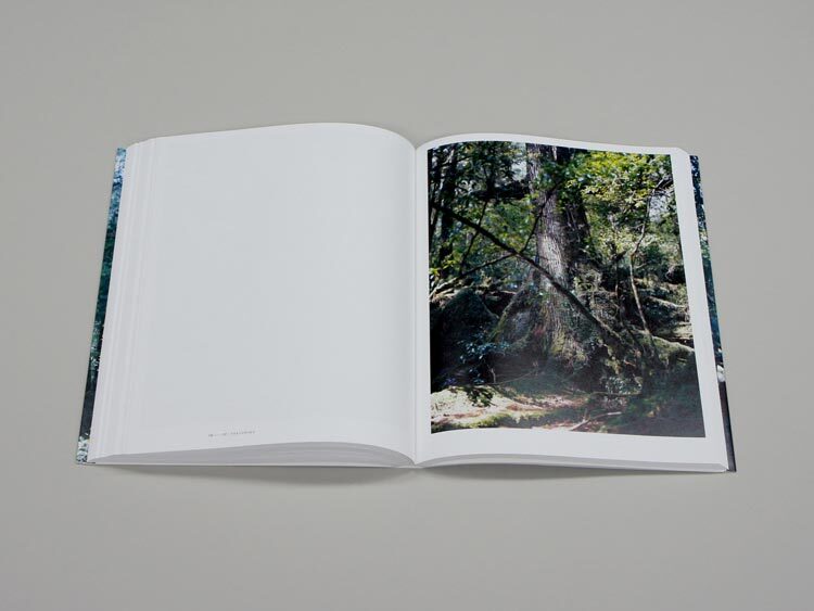 INTRIGUE 上田義彦 写真集 1989年 限定1000部 INTRIGUE 上田義彦 写真集 1989年 限定1000部（上田義彦写真集