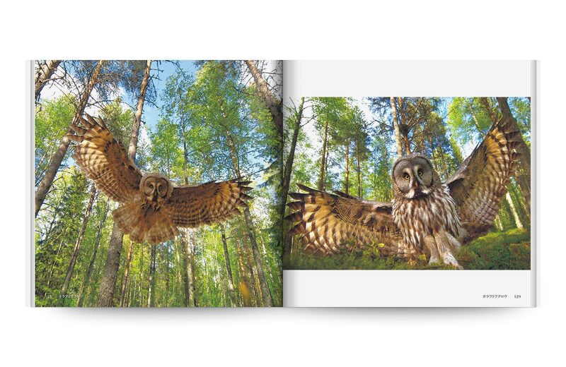 Beautiful Owls In The World | moom bookshop - art books and magazines