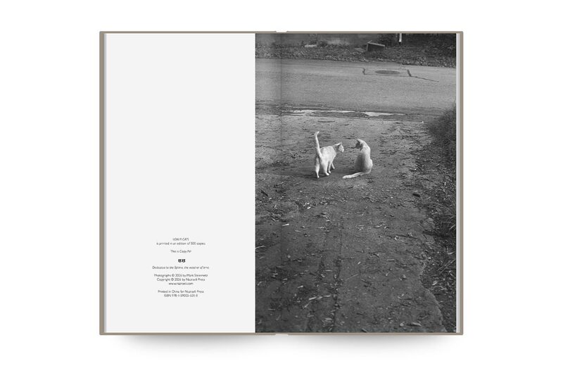 Mark Steinmetz: Low Fi Cats - Mark Steinmetz | moom bookshop - art