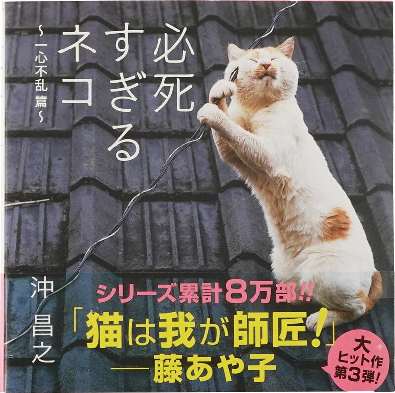 必死すぎるネコ：一心不乱篇 (9784777828784)