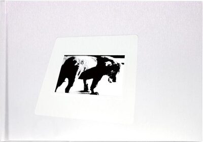 Daido Slide (right)
