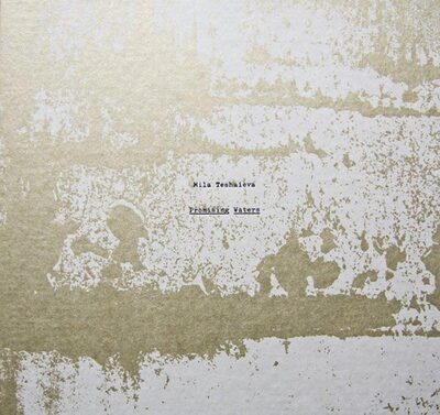 Promising Waters (9783868284218)