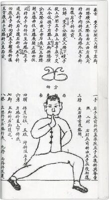 If you want to live to 100 years, Join my Tai Chi class for beginners