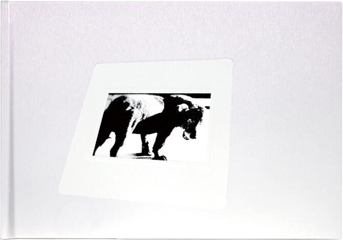 Daido Slide (right) - Daido Moriyama | moom bookshop - art books