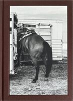 A Naturalist Guide to Magic (9788269241099)