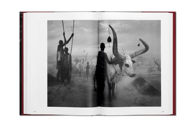 Sebastião Salgado. GENESIS - Sebastião Salgado | moom bookshop