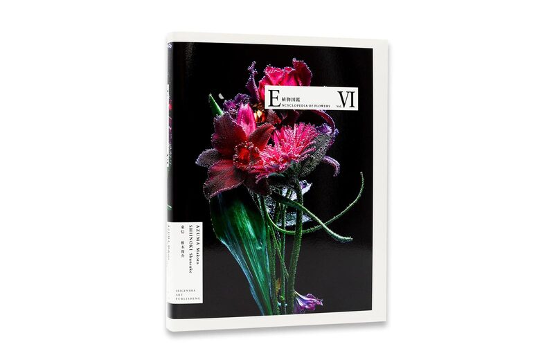 Encyclopedia of Flowers VI - Azuma Makoto, Shiinoki Shunsuke