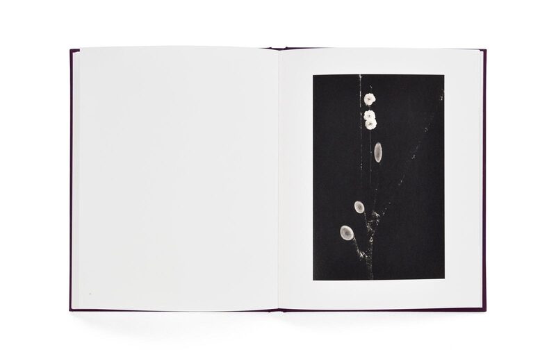 Small Things in Silence - 山本昌男| moom bookshop - 攝影書與雜誌