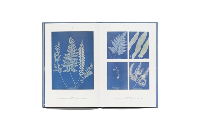 Anna Atkins: Blue Prints - Anna Atkins | moom bookshop - art books and magazines