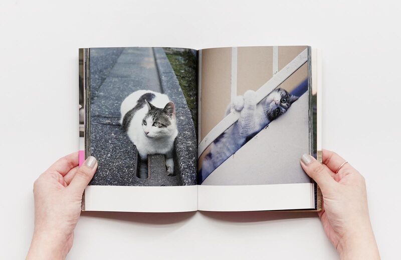 Zannen sugiru Neko - Masayuki Oki | moom bookshop - art books and