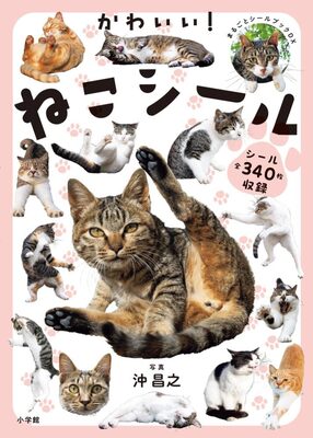 Cute! Cats Stickers (9784097356226)