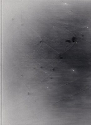 Socorro! (9781913620998)