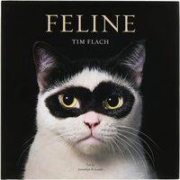 Feline: Photographs (9781419773648)