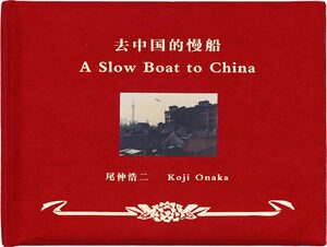 The Guesthouse of Cascades - Wenxin Zhang | moom bookshop - art
