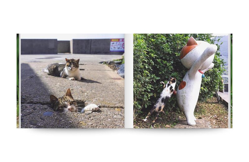 This Cat, That Cat? - Masayuki Oki | moom bookshop - art books and