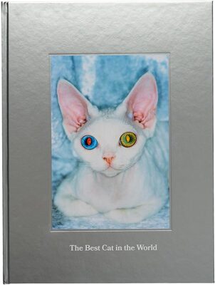 The Best Cat in the World (9789153153597)