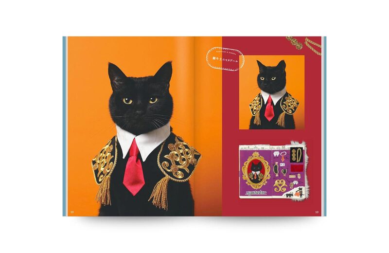 The Black Cat and the Collar - Akiko Kino | moom bookshop - art