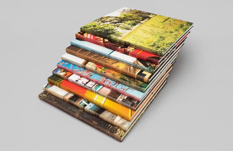 The Democratic Forest - William Eggleston | moom bookshop - art
