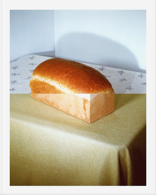 Dish Trick (9798991412810)