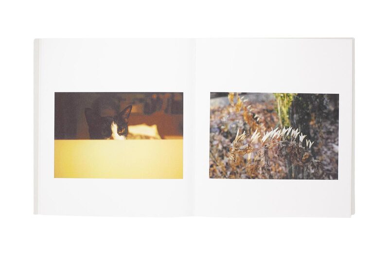 Harutonari - Miho Suzuki | moom bookshop - art books and magazines