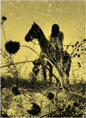 Aux Ombres (9782492920226)