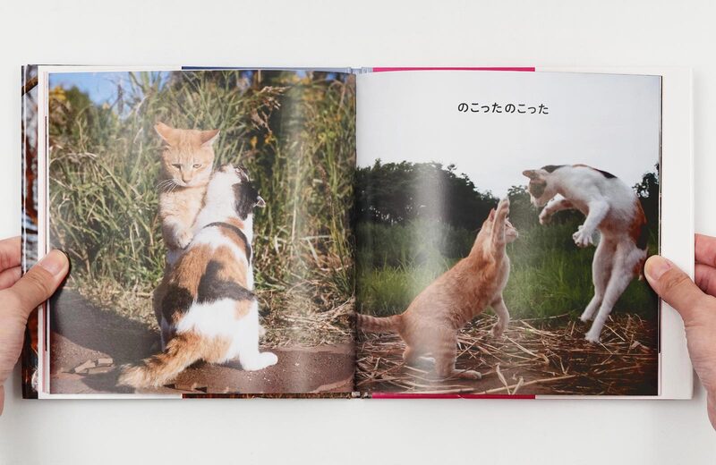 沖昌之の写真絵本①：にゃんこ相撲〈下町編〉 - 沖昌之| moom bookshop
