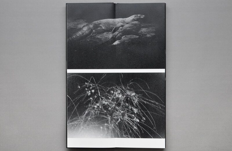 春の運命- 野村佐紀子| moom bookshop - 藝術書籍與雜誌