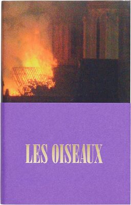 The birds (9782492175626)