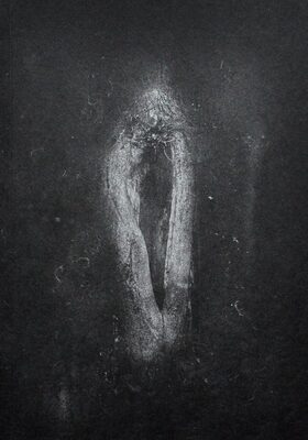 Mayflies (9786188434134)