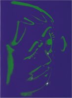 Hoda Kashiha: Slipping on Fragmented Shapes (9788867496419)