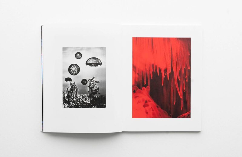 Water Column - Taiyo Onorato, Nico Krebs | moom bookshop - art