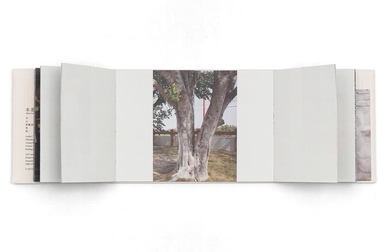 Born from the Same Root - Tsai Ting Bang | moom bookshop - art