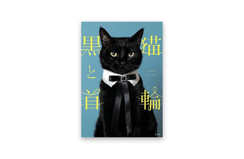The Black Cat and the Collar - Akiko Kino | moom bookshop - art