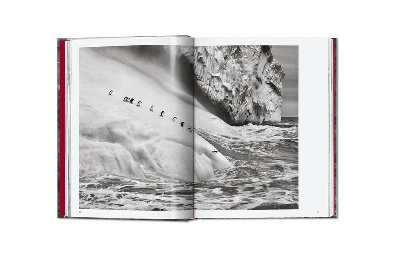 Sebastião Salgado. Genesis - Sebastião Salgado | moom bookshop