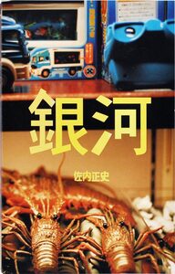 対照guide 佐内正史の写真- 佐內正史| moom bookshop - 攝影書與雜誌
