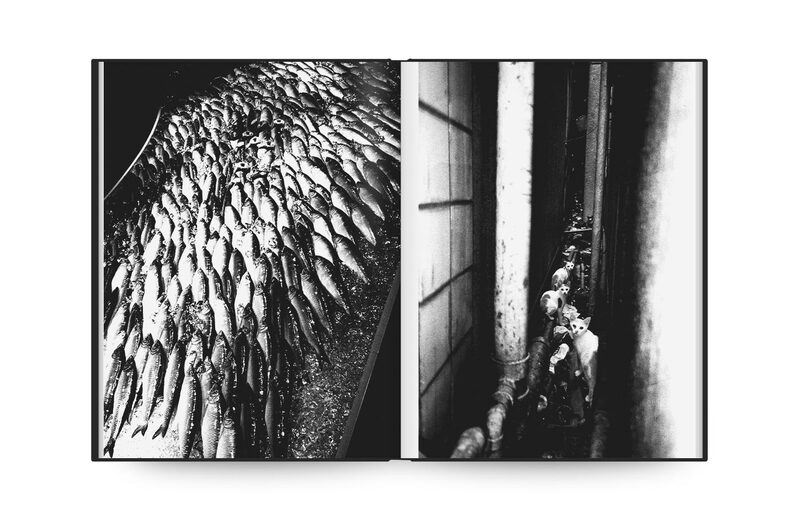 Daido Moriyama Shinju 限定版 117/300 Los Angeles x Shinjuku - Daido Moriyama, Avo Tavitian | moom
