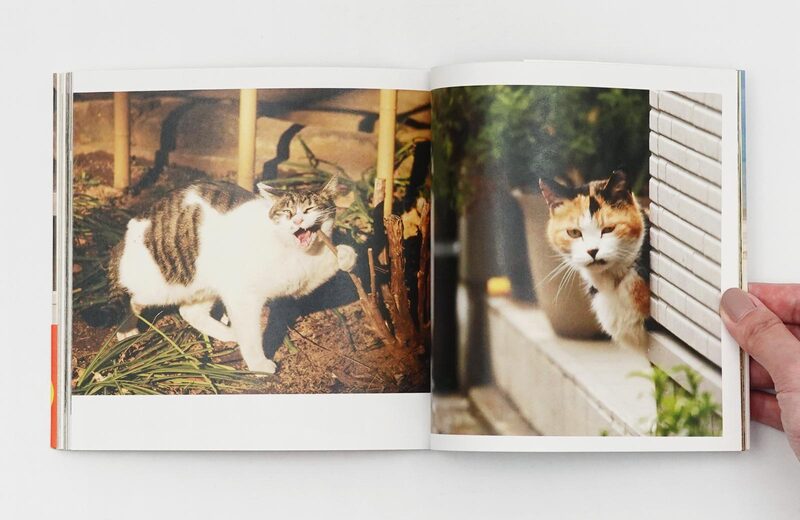 Cats Who Try Too Hard - Masayuki Oki | moom bookshop - art books