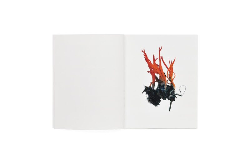 Scandinavian Mushroom - Takashi Homma | moom bookshop