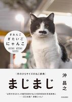 Giongo Gitaigo Nyanko (9784413113816)