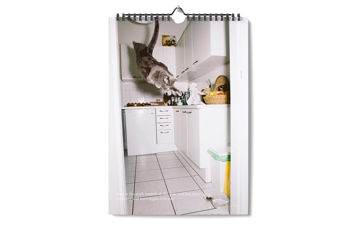 Jumping Cats Calendar Daniel Gebhart de Koekkoek moom