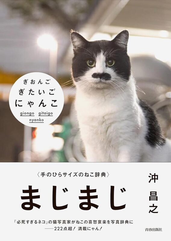 Giongo Gitaigo Nyanko (9784413113816)