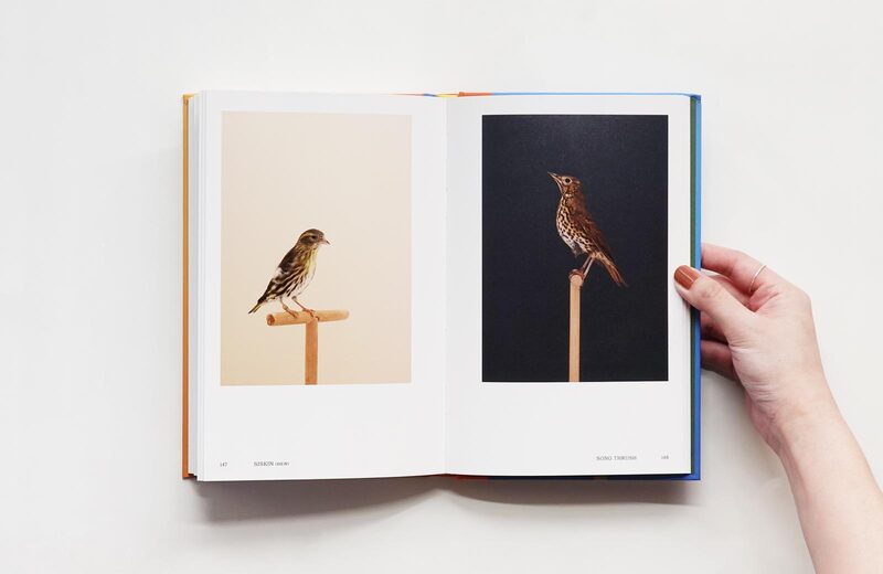 An Incomplete Dictionary of Show Birds .Vol 2 - Luke Stephenson
