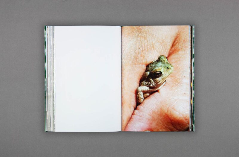 Seabird - Bobby Doherty | moom bookshop - art books and magazines