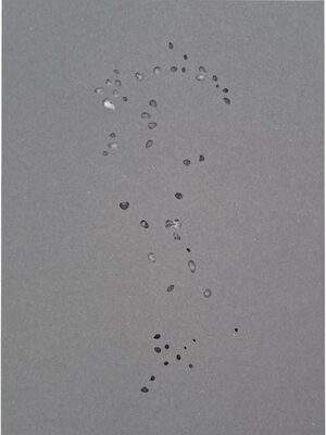 Tout en ce Lieu Me Survivra (9782488757034)