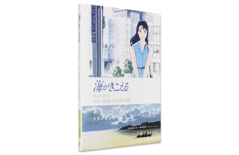 Ocean Waves THE VISUAL COLLECTION | moom bookshop - art books and