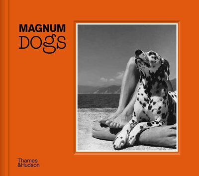Magnum Dogs (9780500545478)