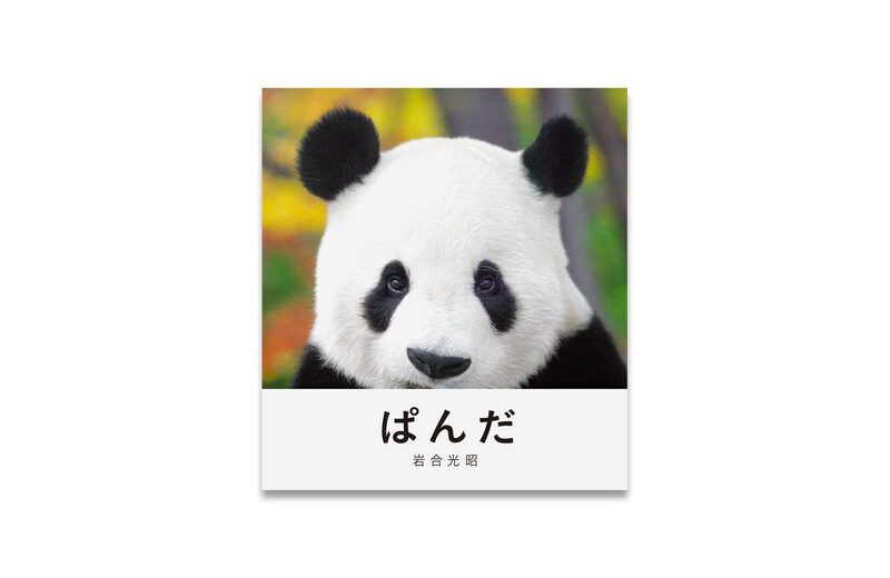 パンダページ Panda - Mitsuaki Iwago | moom bookshop - art books and magazines