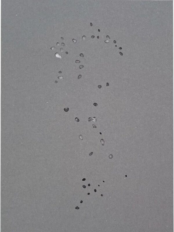 Tout en ce Lieu Me Survivra (9782488757034)