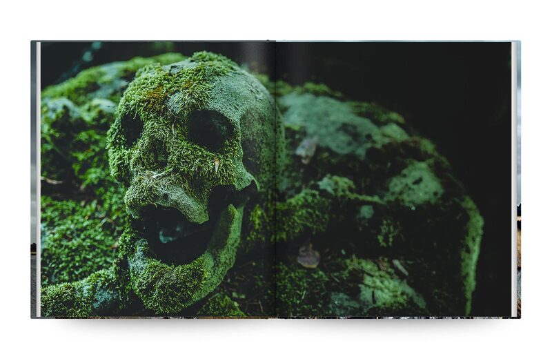 Dark and Dystopian Post - Mortem Fairy Tales - Mothmeister | moom