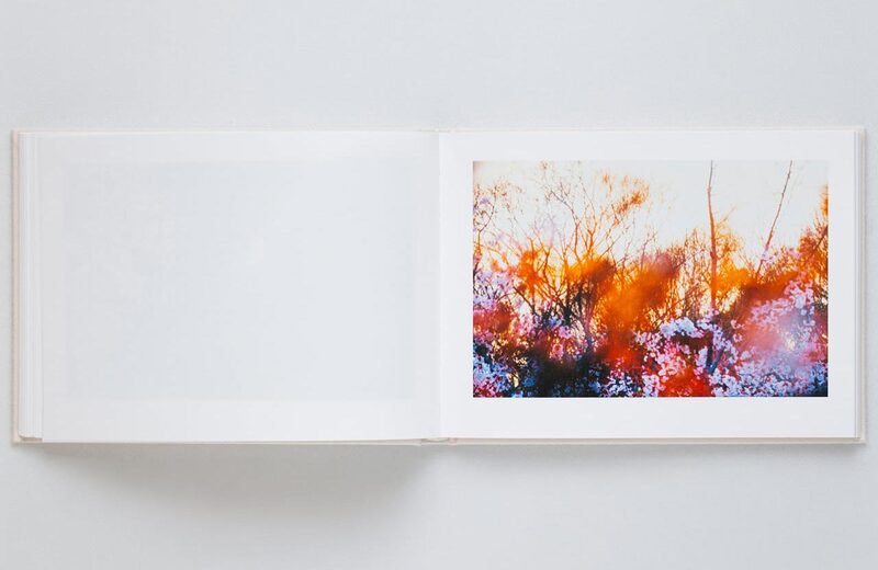 Mika Ninagawa: VIRA (SKY Edition) - Mika Ninagawa | moom bookshop